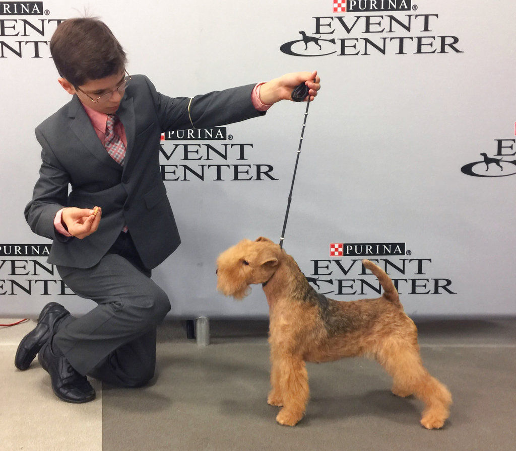 Westminster Dog Show Young Handlers
